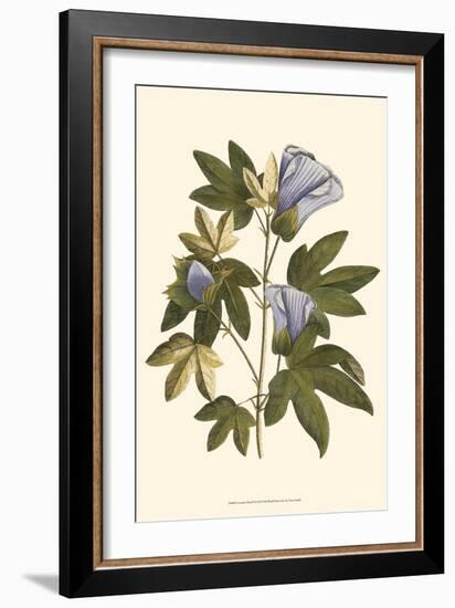 Lavender Floral II-Vision Studio-Framed Premium Giclee Print