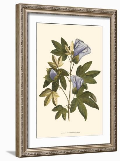 Lavender Floral II-Vision Studio-Framed Art Print