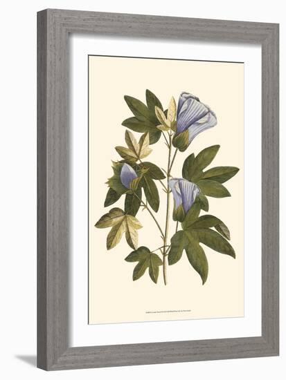 Lavender Floral II-Vision Studio-Framed Art Print
