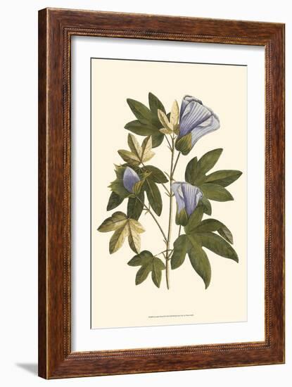 Lavender Floral II-Vision Studio-Framed Art Print