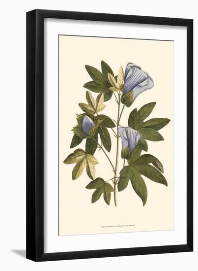 Lavender Floral II-Vision Studio-Framed Art Print