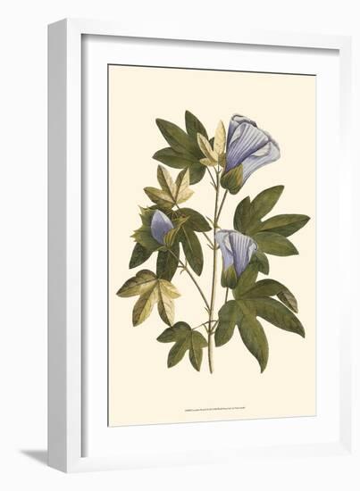 Lavender Floral II-Vision Studio-Framed Art Print