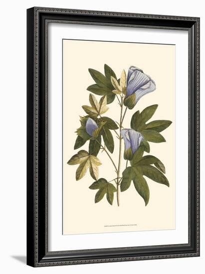 Lavender Floral II-Vision Studio-Framed Art Print