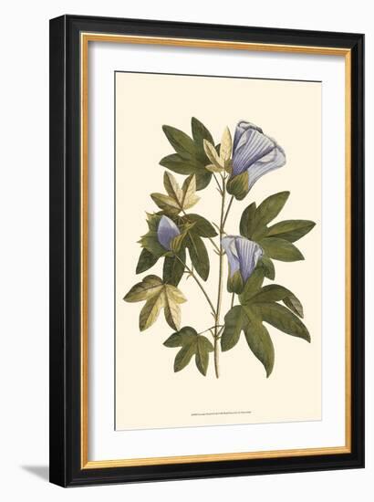 Lavender Floral II-Vision Studio-Framed Art Print