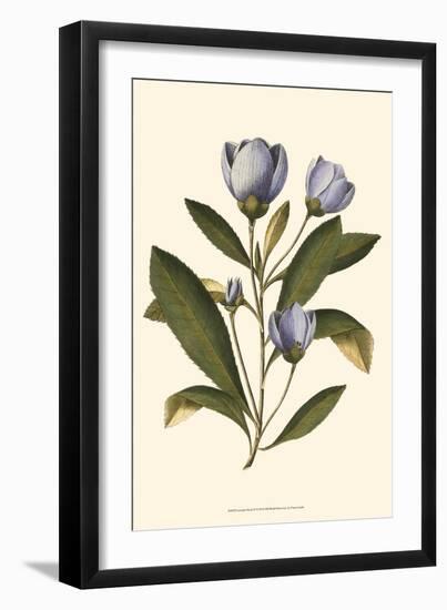 Lavender Floral IV-Vision Studio-Framed Art Print