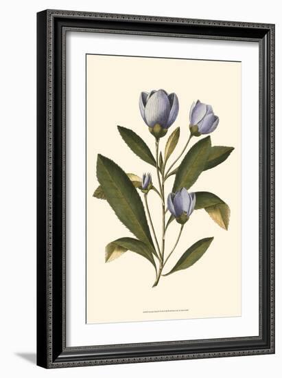 Lavender Floral IV-Vision Studio-Framed Art Print