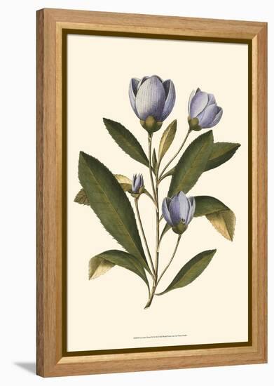Lavender Floral IV-Vision Studio-Framed Stretched Canvas