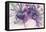 Lavender Floral Splendor I-Samuel Dixon-Framed Stretched Canvas