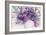 Lavender Floral Splendor I-Samuel Dixon-Framed Art Print