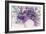 Lavender Floral Splendor I-Samuel Dixon-Framed Art Print