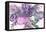 Lavender Floral Splendor II-Samuel Dixon-Framed Stretched Canvas