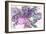 Lavender Floral Splendor II-Samuel Dixon-Framed Art Print