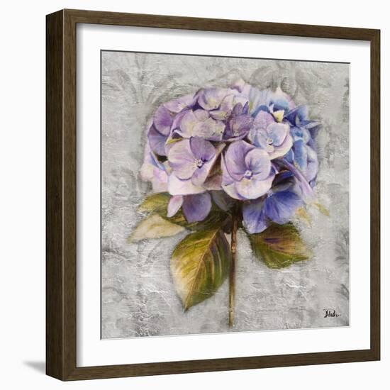 Lavender Flourish Square I-Patricia Pinto-Framed Art Print
