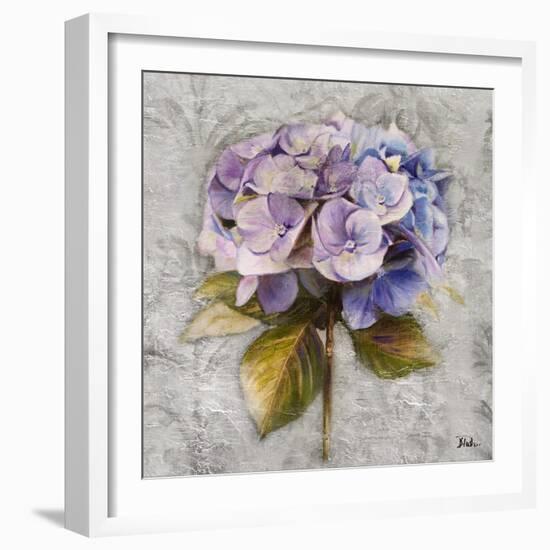 Lavender Flourish Square I-Patricia Pinto-Framed Art Print