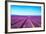 Lavender Flower Blooming Fields Endless Rows-stevanzz-Framed Photographic Print