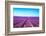 Lavender Flower Blooming Fields Endless Rows-stevanzz-Framed Photographic Print