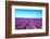 Lavender Flower Blooming Fields Endless Rows-stevanzz-Framed Photographic Print