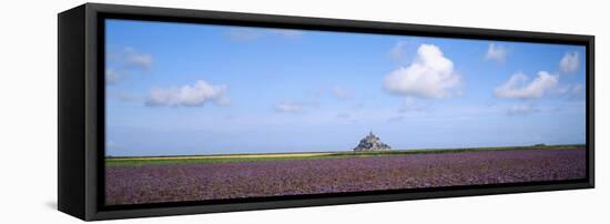 Lavender Flowers in a Field with a Cathedral in the Background, Mont Saint-Michel, Brittany, France-null-Framed Premier Image Canvas