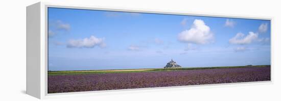 Lavender Flowers in a Field with a Cathedral in the Background, Mont Saint-Michel, Brittany, France-null-Framed Premier Image Canvas