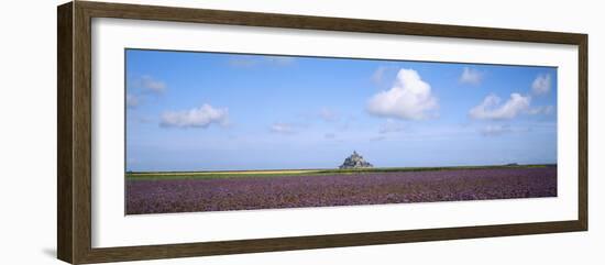 Lavender Flowers in a Field with a Cathedral in the Background, Mont Saint-Michel, Brittany, France-null-Framed Photographic Print