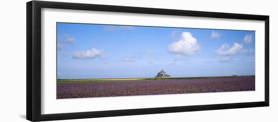 Lavender Flowers in a Field with a Cathedral in the Background, Mont Saint-Michel, Brittany, France-null-Framed Photographic Print