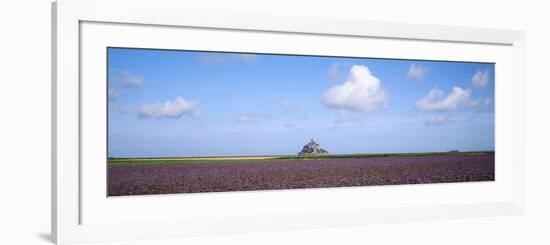 Lavender Flowers in a Field with a Cathedral in the Background, Mont Saint-Michel, Brittany, France--Framed Photographic Print