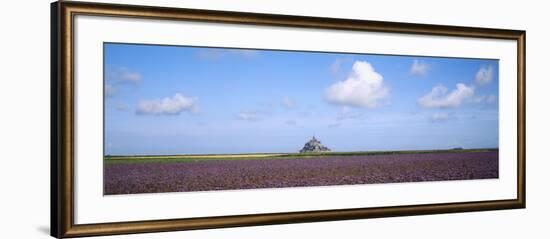 Lavender Flowers in a Field with a Cathedral in the Background, Mont Saint-Michel, Brittany, France-null-Framed Photographic Print