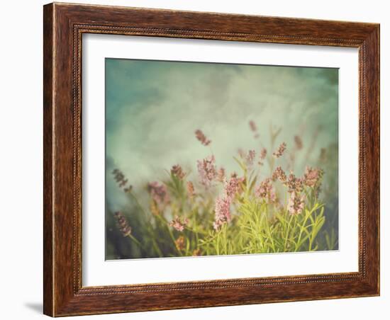 Lavender Flowers with Vintage Color Filters-Sandralise-Framed Photographic Print