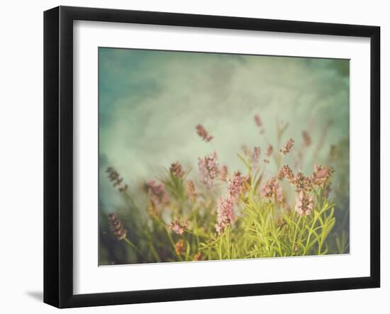 Lavender Flowers with Vintage Color Filters-Sandralise-Framed Photographic Print