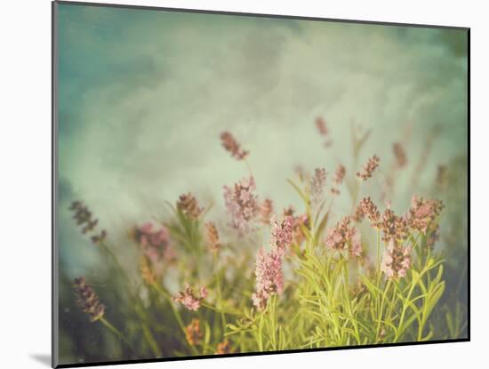 Lavender Flowers with Vintage Color Filters-Sandralise-Mounted Photographic Print