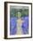 LAVENDER GATE-ALLAYN STEVENS-Framed Premium Giclee Print