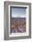 Lavender Growing on the Plateau de Valensole in Provence, France, Europe-Julian Elliott-Framed Photographic Print