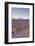 Lavender Growing on the Plateau de Valensole in Provence, France, Europe-Julian Elliott-Framed Photographic Print