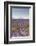 Lavender Growing on the Plateau de Valensole in Provence, France, Europe-Julian Elliott-Framed Photographic Print