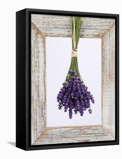 Lavender Hanging Up to Dry-Ottmar Diez-Framed Premier Image Canvas