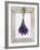 Lavender Hanging Up to Dry-Ottmar Diez-Framed Photographic Print