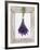 Lavender Hanging Up to Dry-Ottmar Diez-Framed Photographic Print