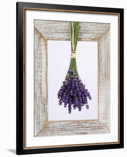 Lavender Hanging Up to Dry-Ottmar Diez-Framed Photographic Print