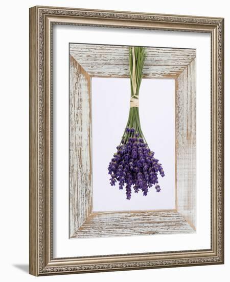 Lavender Hanging Up to Dry-Ottmar Diez-Framed Photographic Print