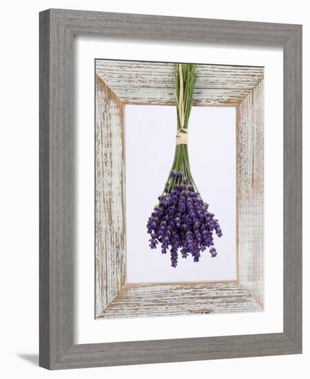 Lavender Hanging Up to Dry-Ottmar Diez-Framed Photographic Print