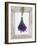 Lavender Hanging Up to Dry-Ottmar Diez-Framed Photographic Print