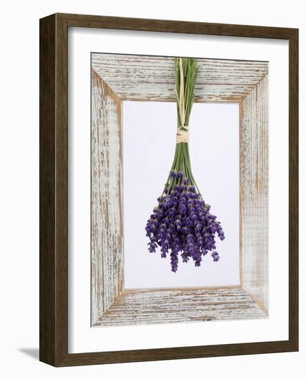 Lavender Hanging Up to Dry-Ottmar Diez-Framed Photographic Print