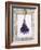 Lavender Hanging Up to Dry-Ottmar Diez-Framed Photographic Print