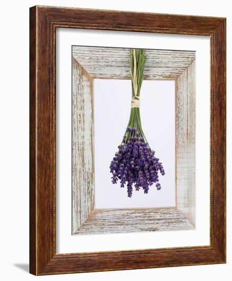 Lavender Hanging Up to Dry-Ottmar Diez-Framed Photographic Print