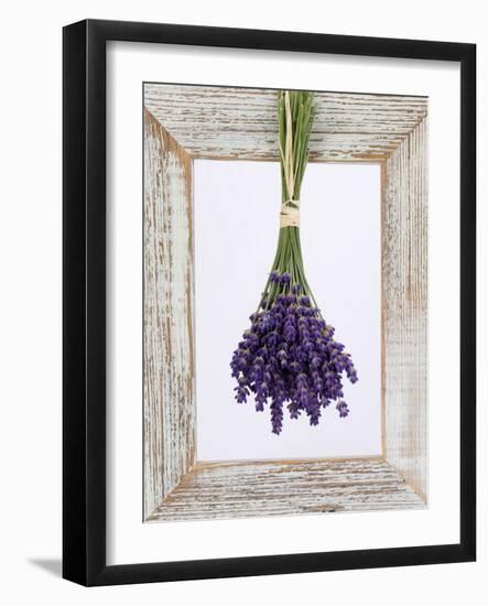 Lavender Hanging Up to Dry-Ottmar Diez-Framed Photographic Print