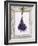 Lavender Hanging Up to Dry-Ottmar Diez-Framed Photographic Print