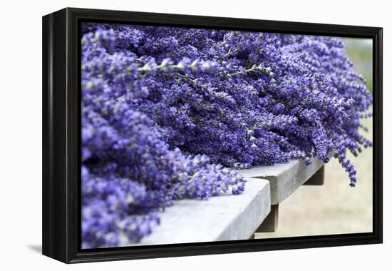 Lavender Harvest I-Dana Styber-Framed Premier Image Canvas