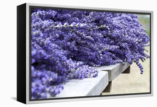 Lavender Harvest I-Dana Styber-Framed Premier Image Canvas