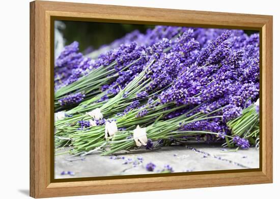 Lavender Harvest II-Dana Styber-Framed Premier Image Canvas