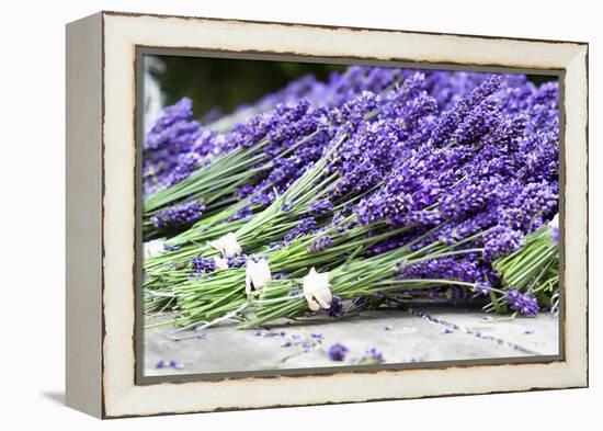 Lavender Harvest II-Dana Styber-Framed Premier Image Canvas